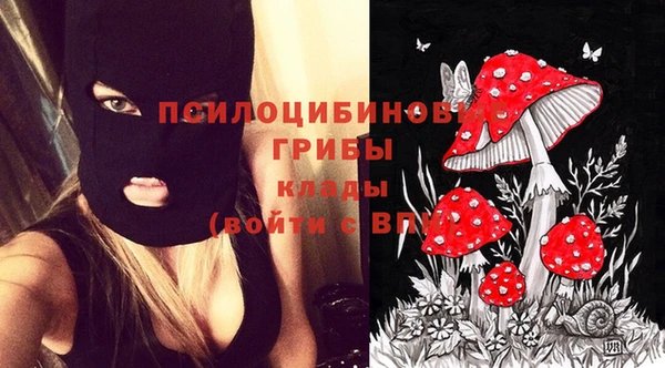 ешки Баксан