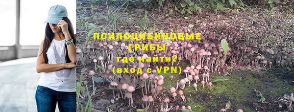 дмт Балахна