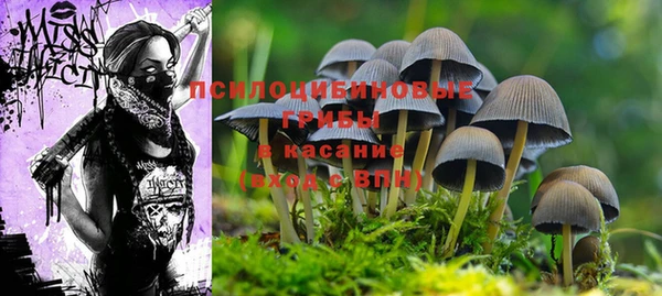 дмт Балахна