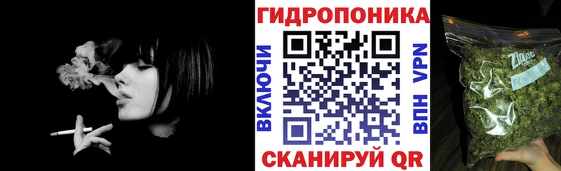 как найти наркотики  Ворсма  Канабис ГИДРОПОН 